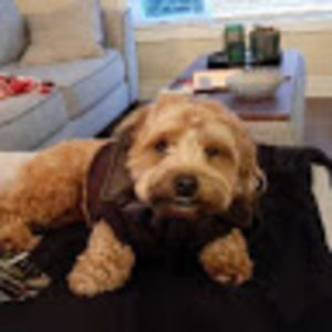 Meet your Posher, Laura